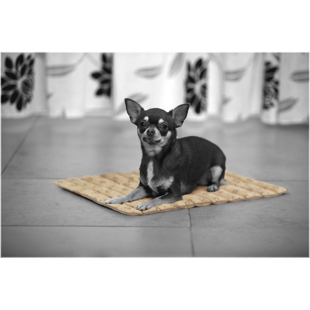 Beeztees Quick Cooler Kühlmatte für Hunde Bild 6