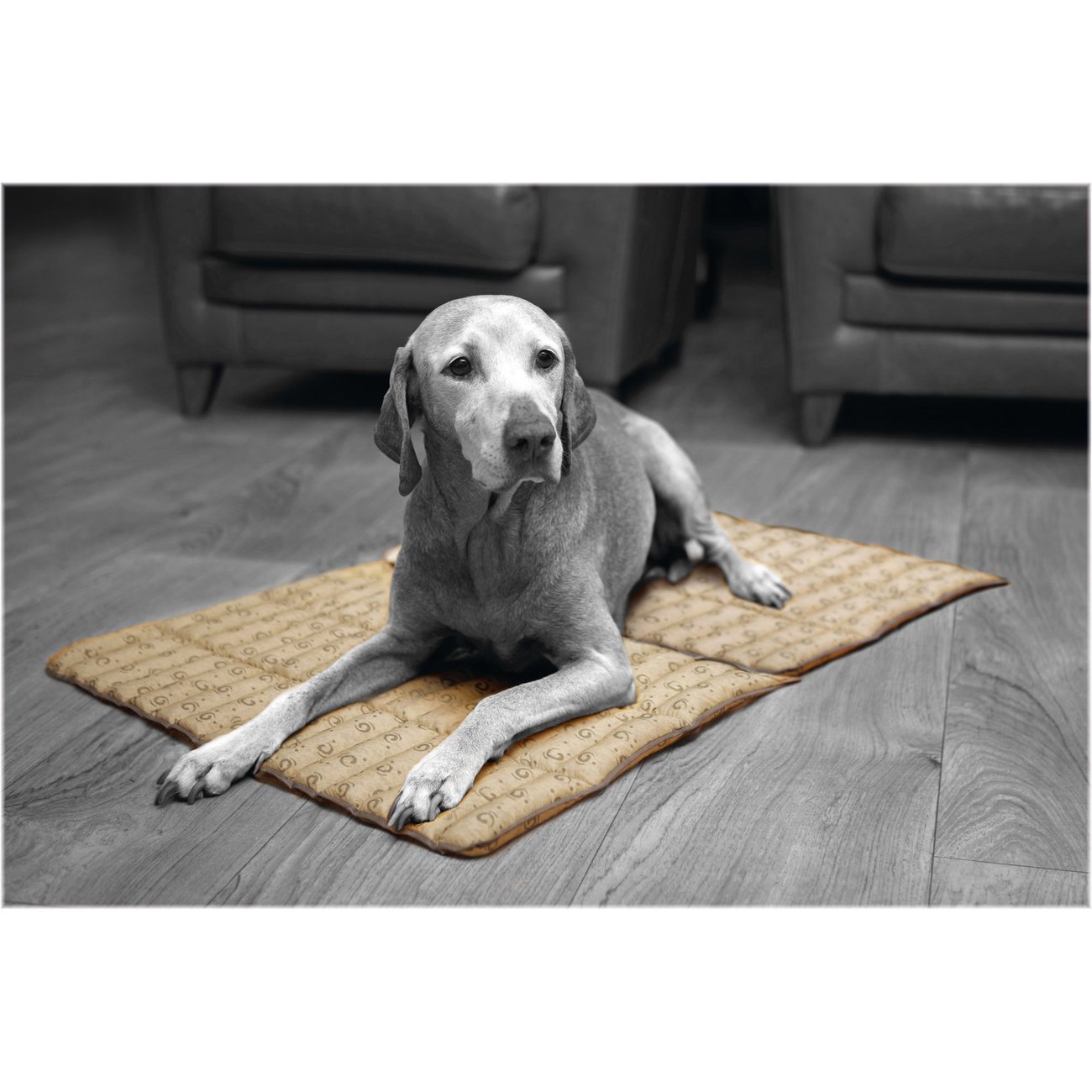 Beeztees Quick Cooler Kühlmatte für Hunde Bild 9