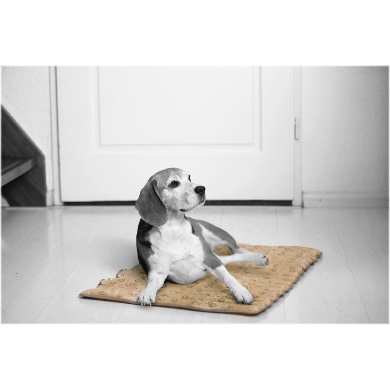 Beeztees Quick Cooler Kühlmatte für Hunde Bild 7