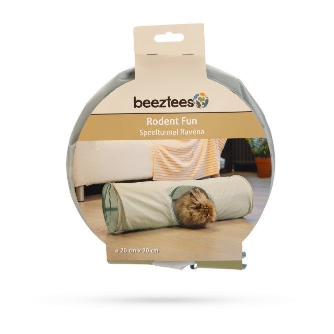 Ravena Nagertunnel Bild 3