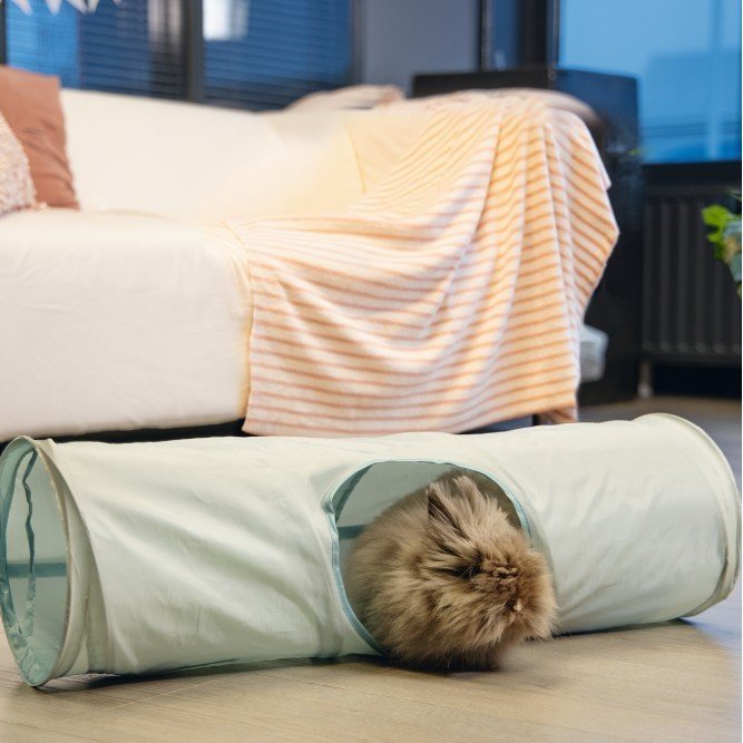 Ravena Nagertunnel Bild 2