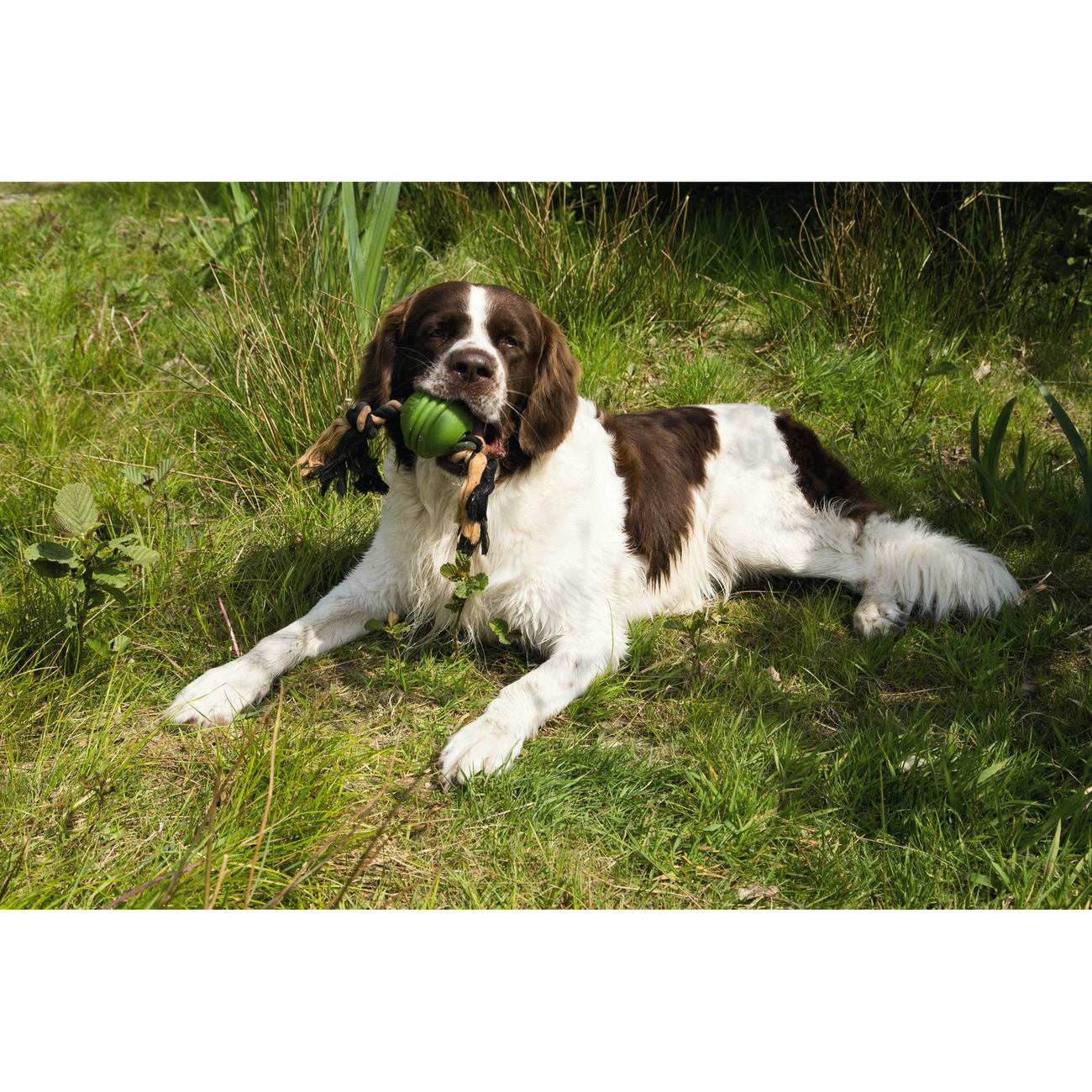 BEEZTEES Sumo Fit Ball Bild 5