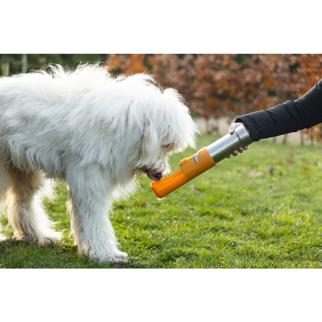 Trinkflasche LOE mit Schale aus Edelstahl Bild 2