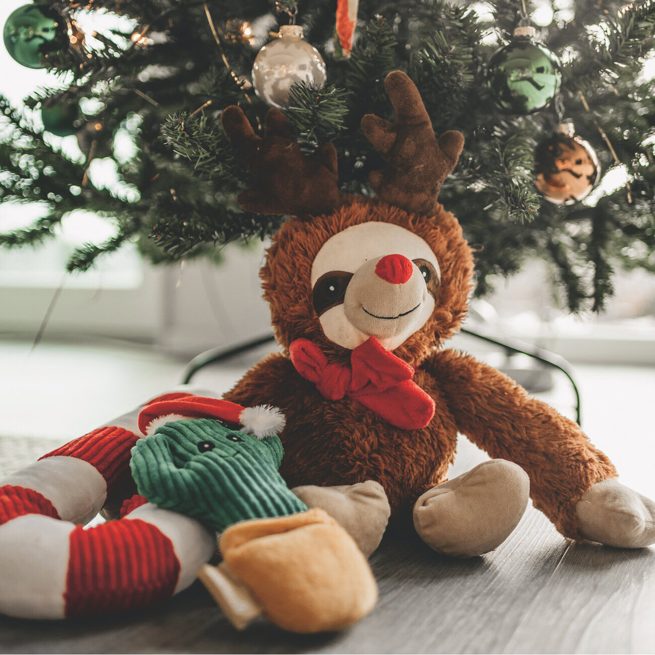 Weihnachtskaktus Hundespielzeug Bild 2