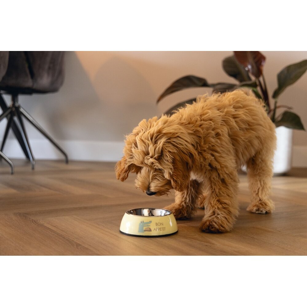 Welpen Hundenapf Bild 2