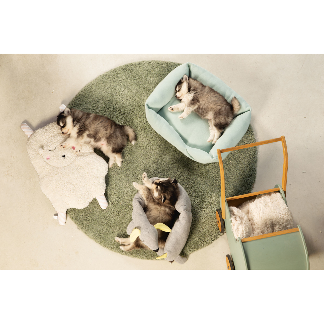 Beeztees Welpen Kuschelspielzeug Cosy Bild 3