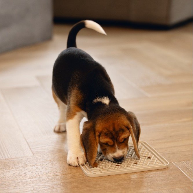 Welpen Leckmatte Dize Bild 2