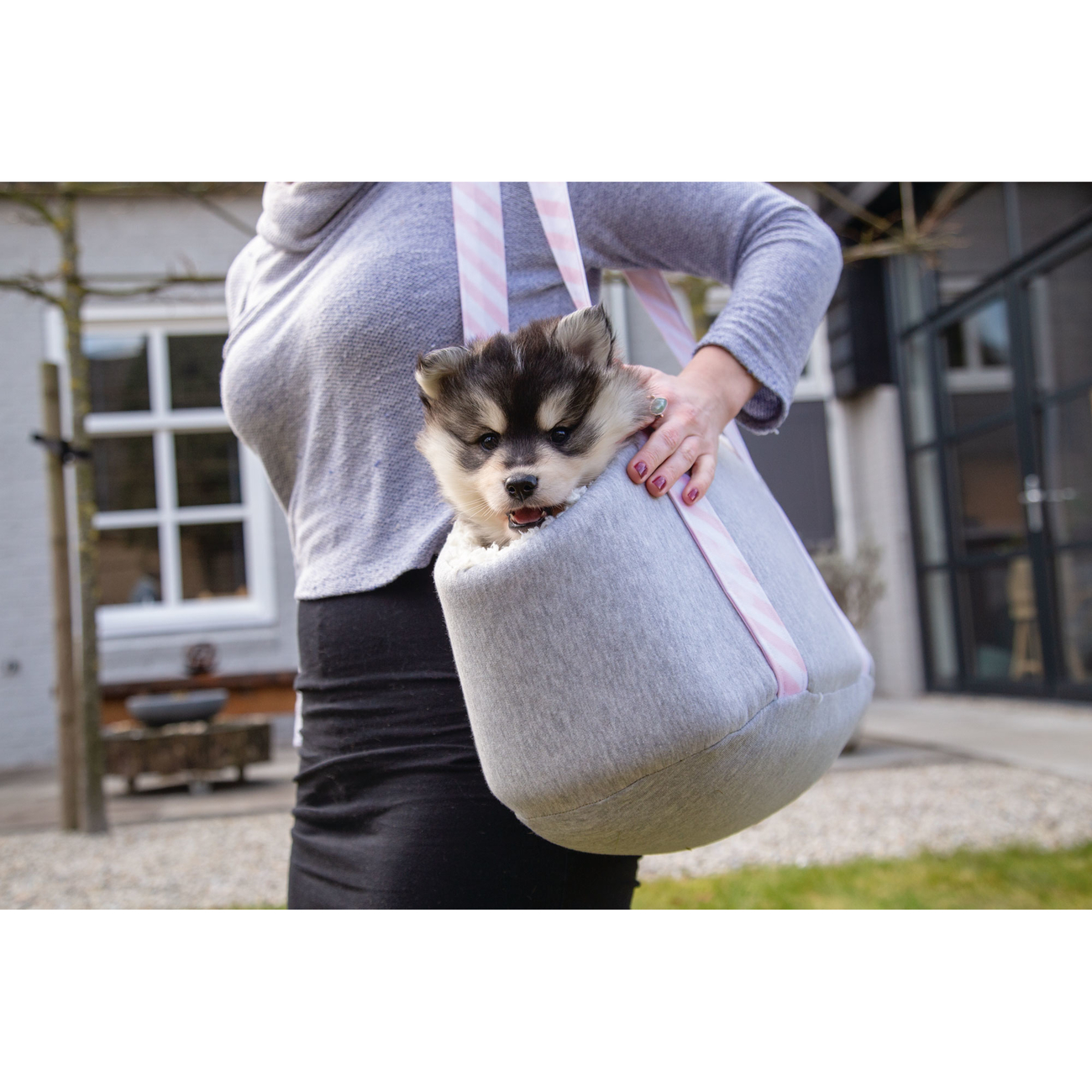 Beeztees Wolly Puppy Tragetasche für Welpen Bild 2