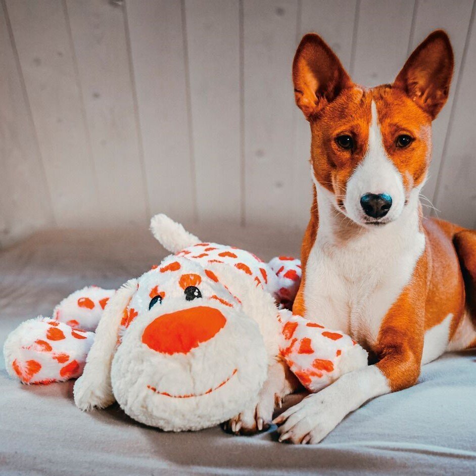 XL Hundespielzeug Knuffel Suki mit Sound Bild 2