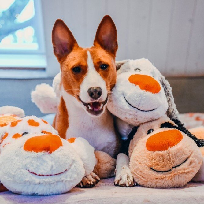 XL Kuschelspielzeug Hund mit Herznase Bild 2