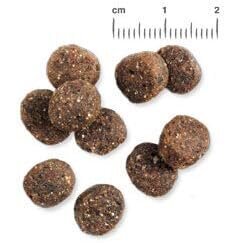 Belcando Finest GF Salmon getreidefreies Hundefutter Bild 4