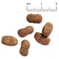Belcando Junior GF Poultry Hundefutter getreidefrei Bild 4