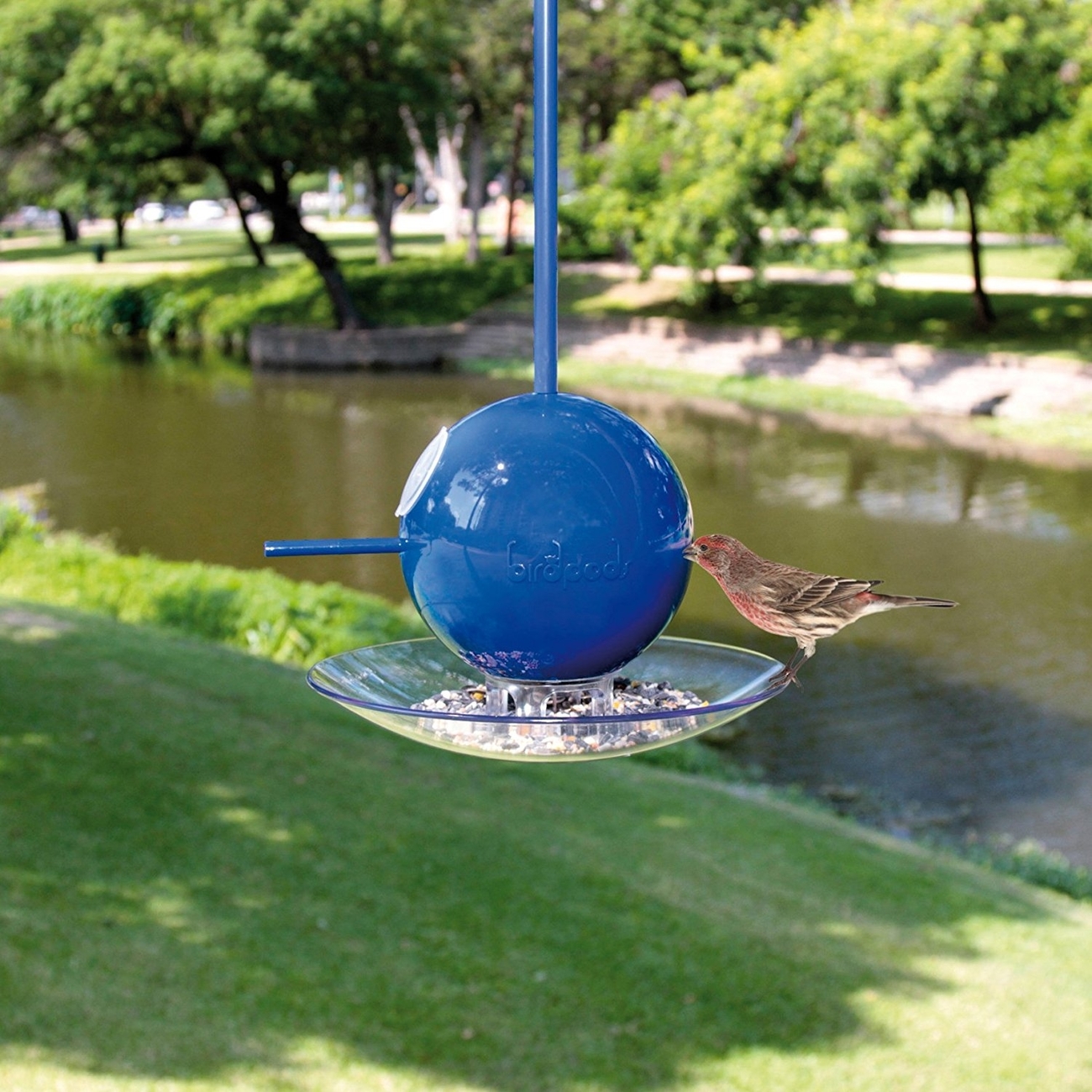 Birdpod Vogelhaus Bild 11