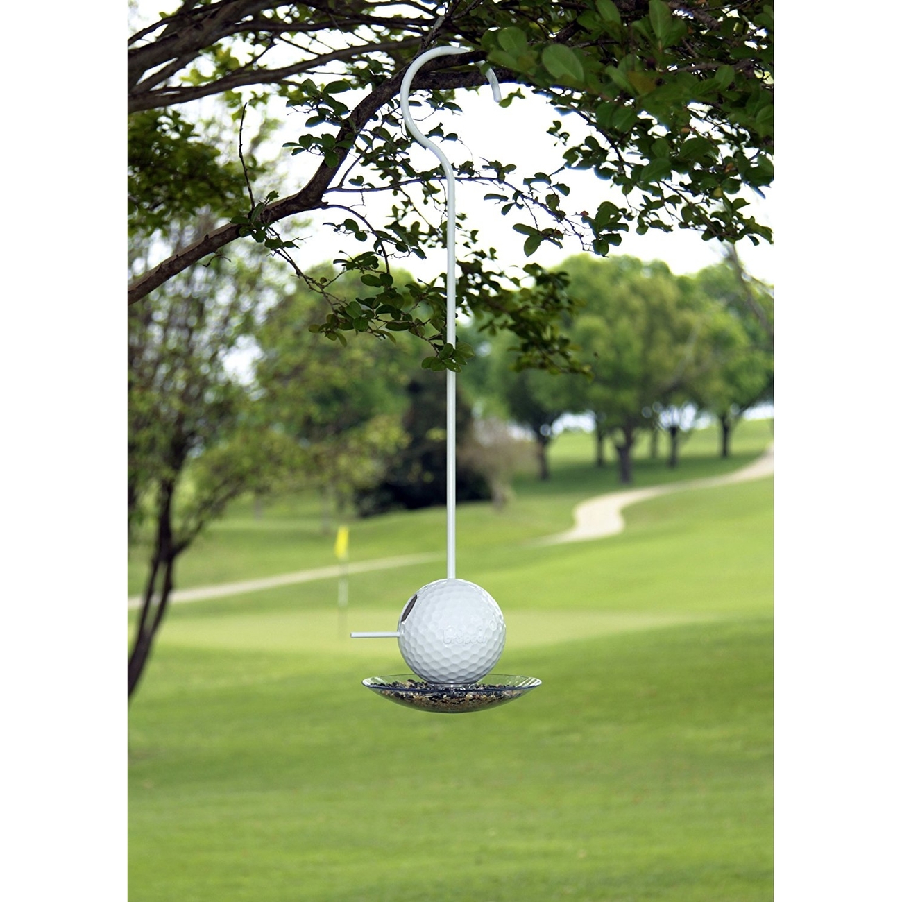 Birdpod Vogelhaus Bild 10