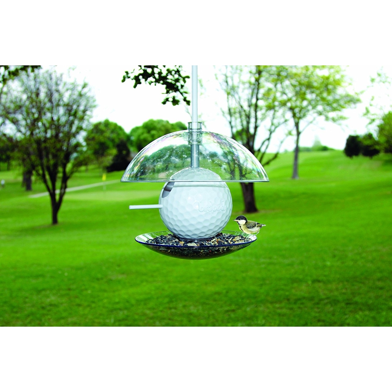 Birdpod Vogelhaus Bild 5