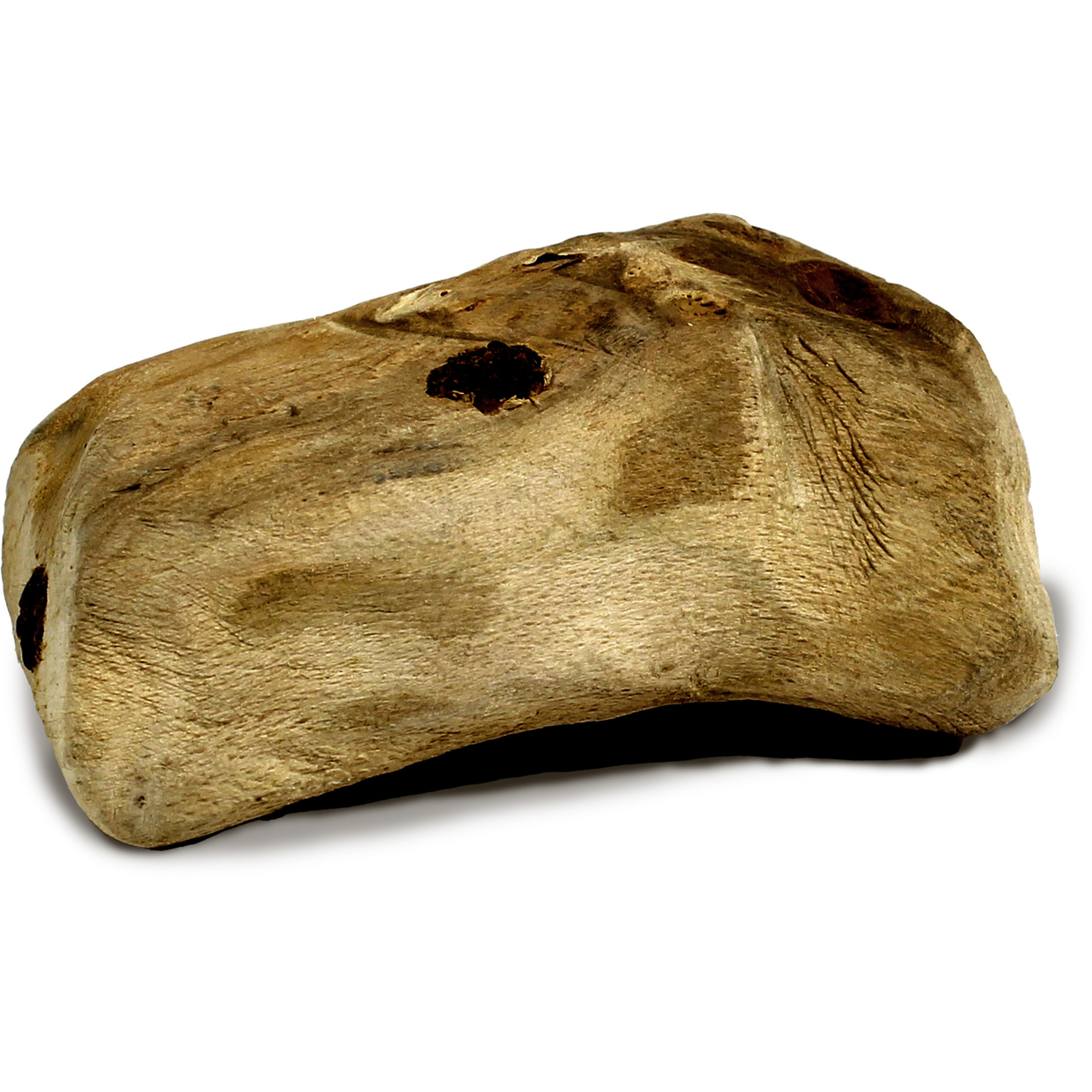 Rooties Buchenwurzel Hundekausnack Bild 6