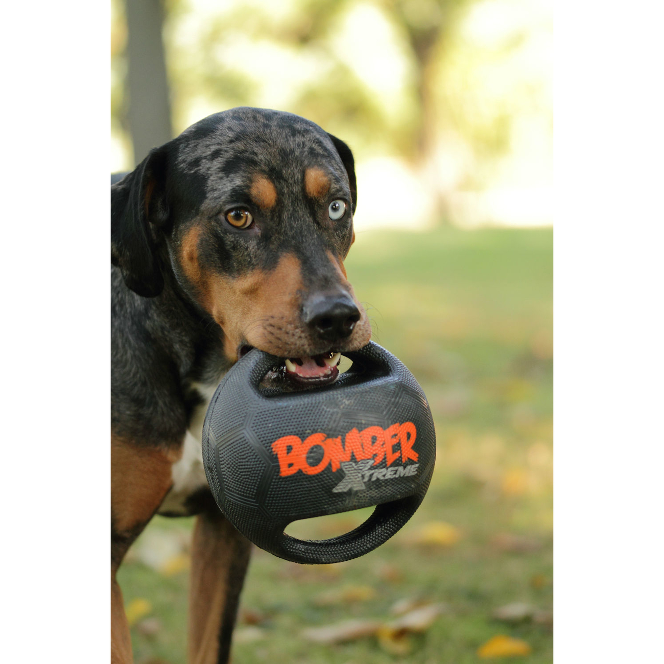 Bomber Xtreme Hundespielzeug Bild 4