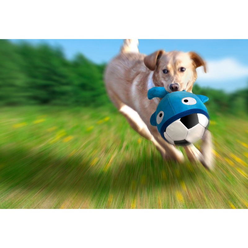 Booga Ball Hunde Fussball mit Neopren Hülle Bild 8