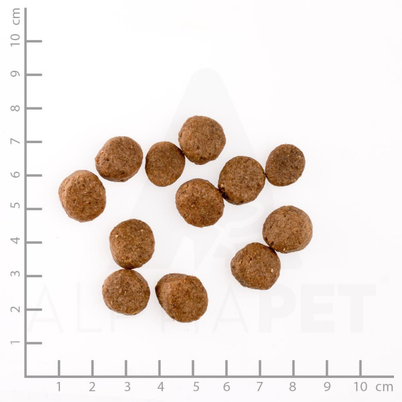 Bosch PLUS Strauß & Kartoffel Bild 4