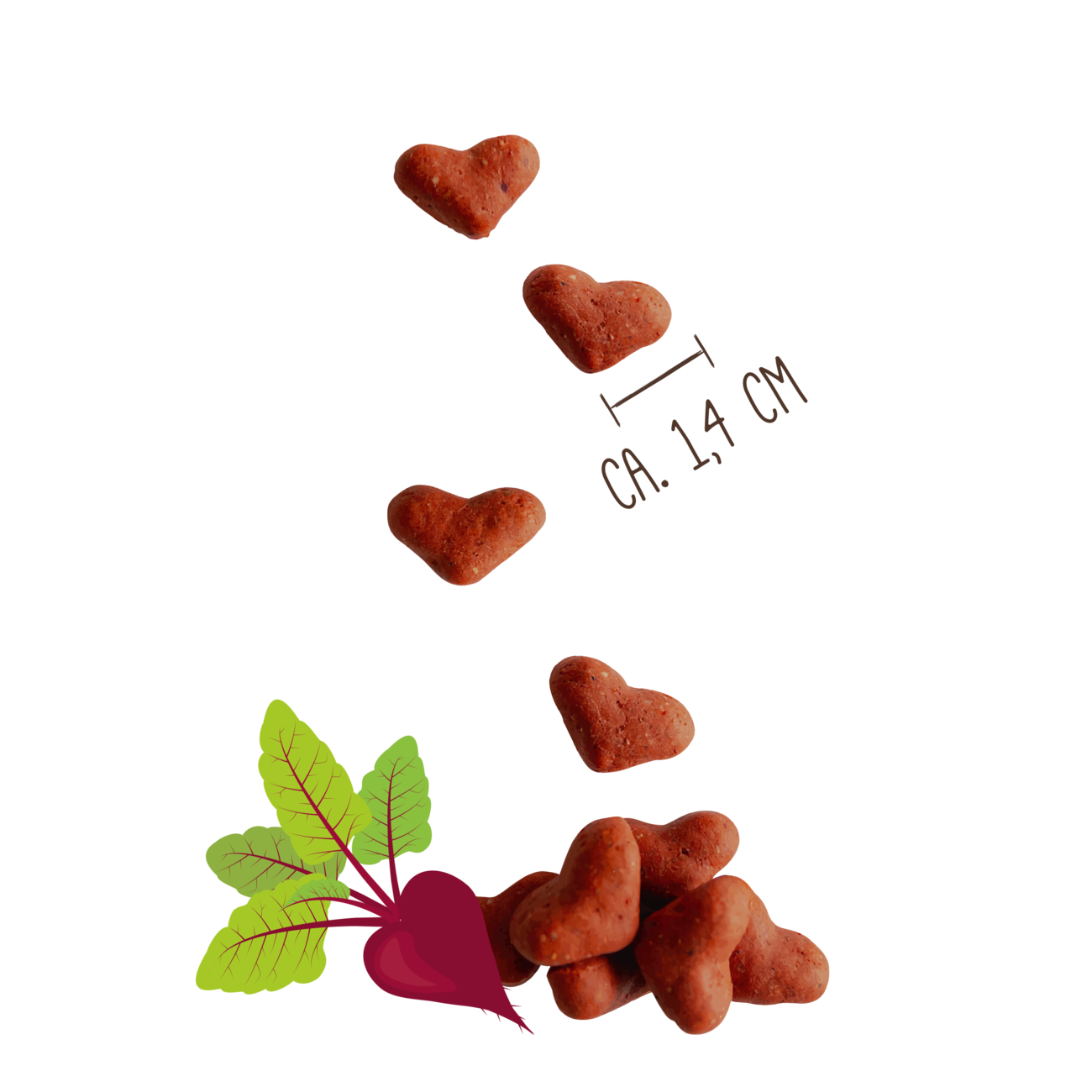 Sammys Herzensbrecher Bild 2