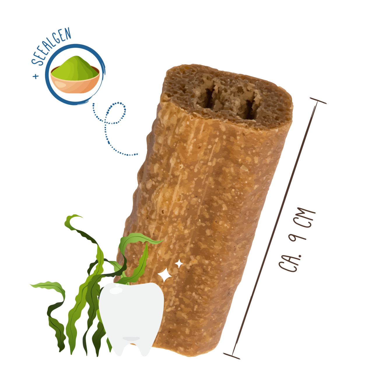 Sammys Zahnfee Bild 2