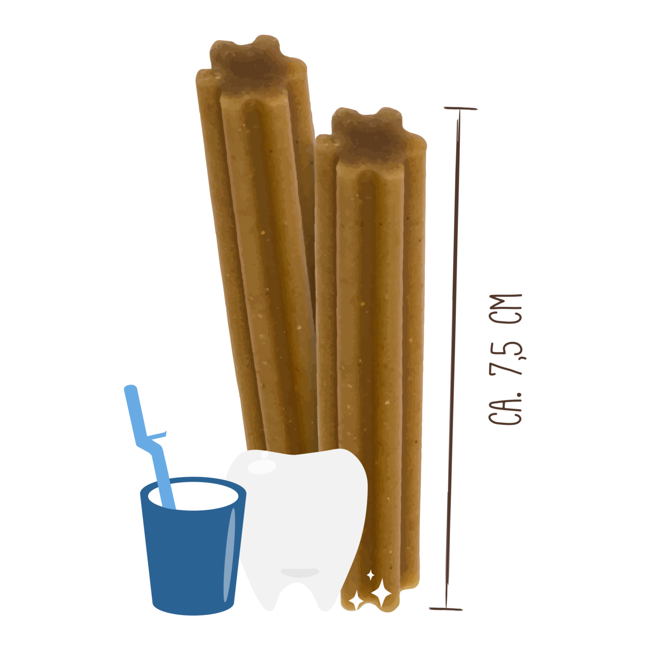 Sammys Zahnstengel Bild 2