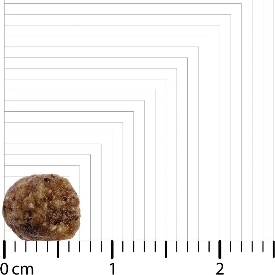 Original Adult Sensitive Skin & Coat Hundefutter Bild 3