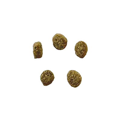 Robur Mother & Puppy Hundefutter Bild 4