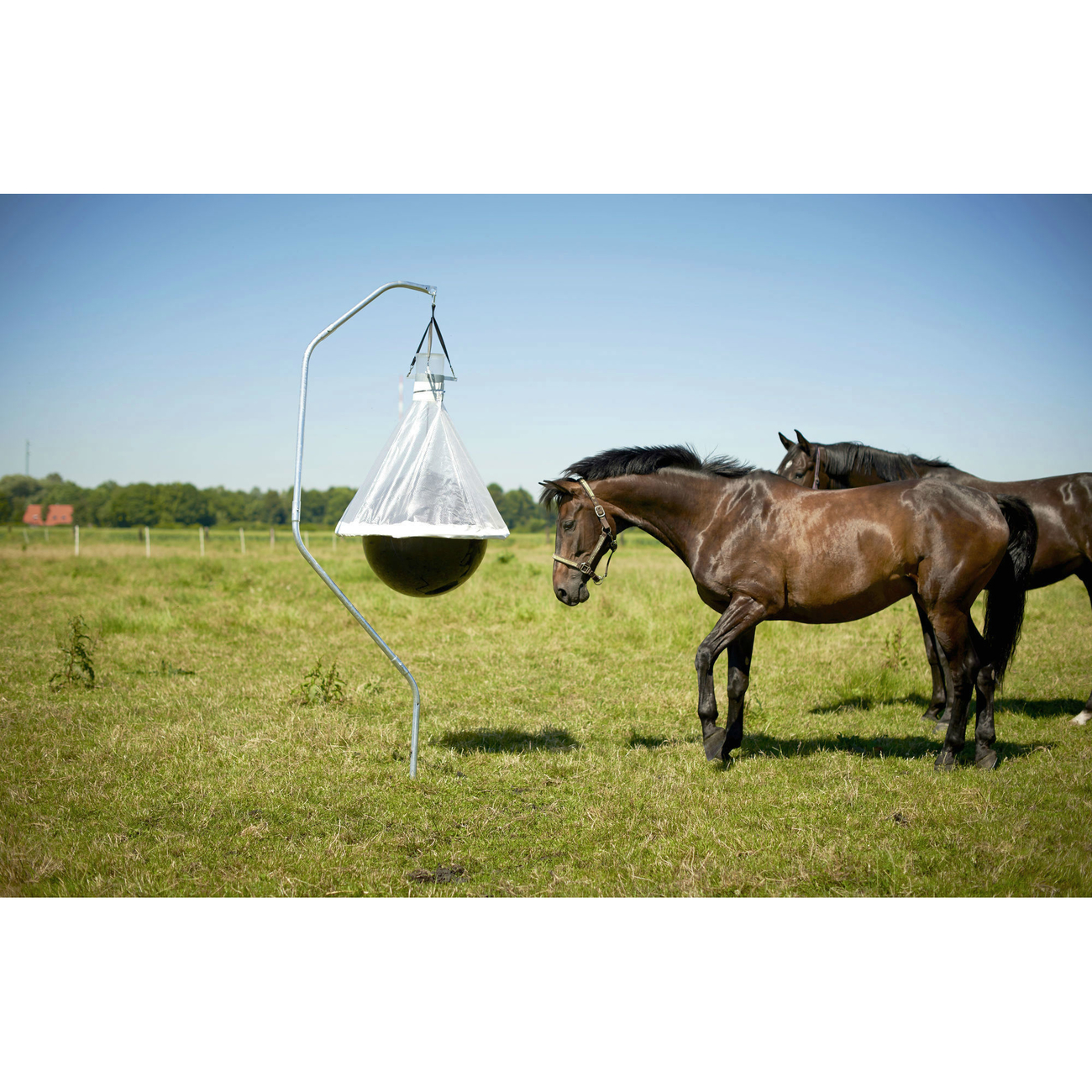 Kerbl Bremsenfalle TaonX Bild 6