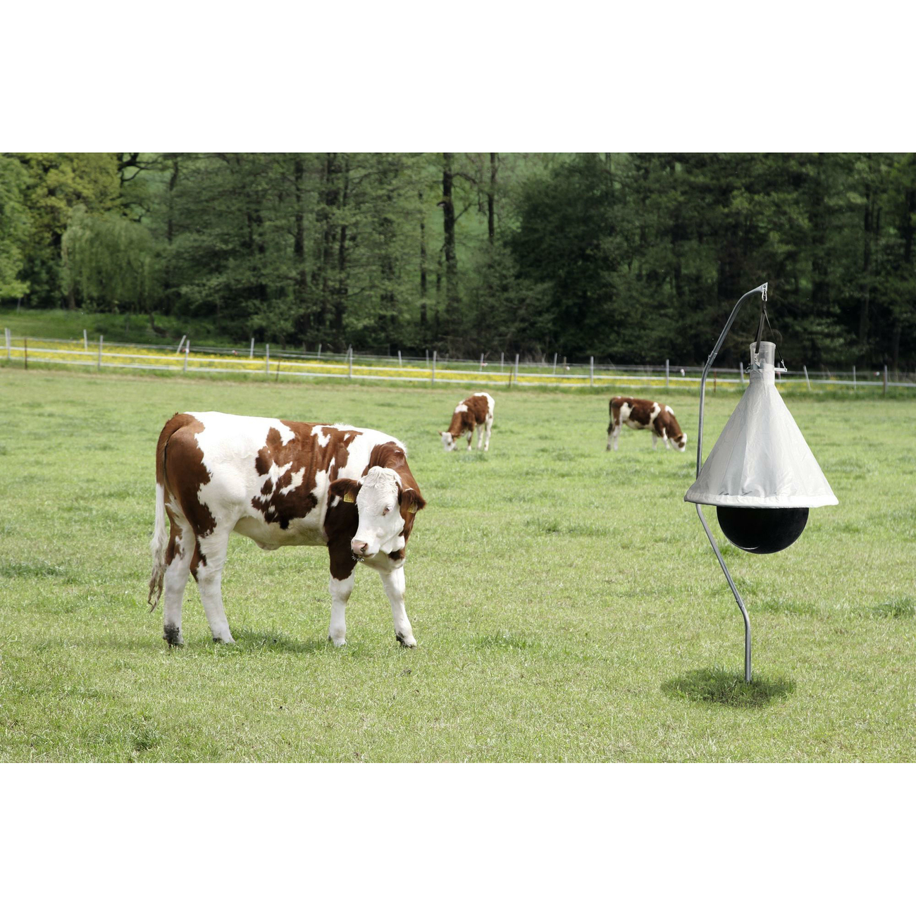 Kerbl Bremsenfalle TaonX Bild 8