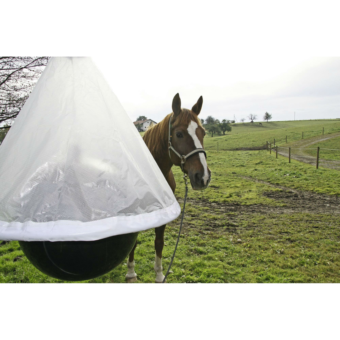 Kerbl Bremsenfalle TaonX Bild 12