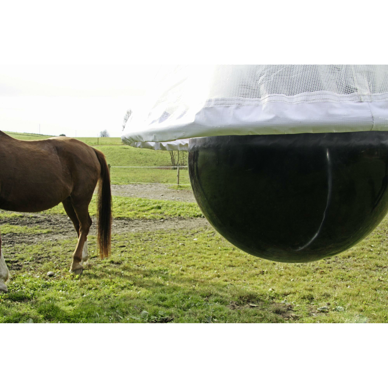 Kerbl Bremsenfalle TaonX Bild 13