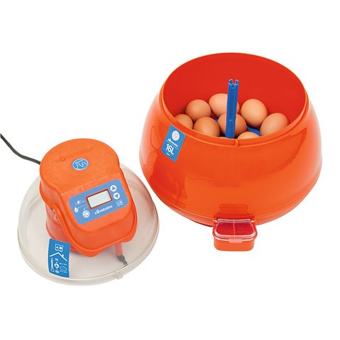 Brutautomat Covatutto 16 L digital Bild 2