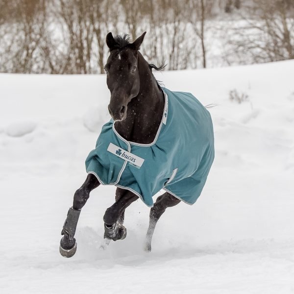 Bucas Atlantic Turnout 200 Pferdedecke Winter Bild 2