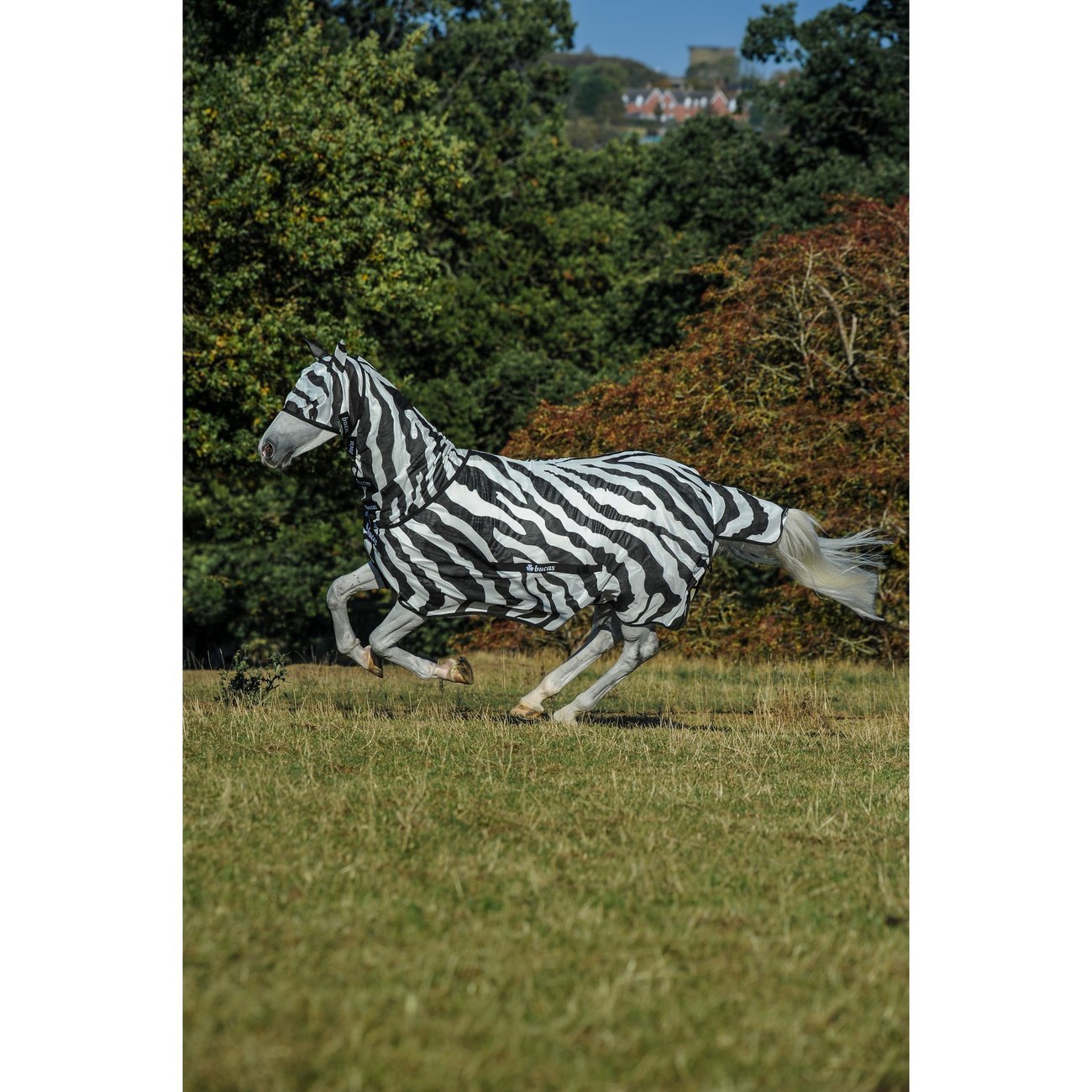 Bucas Fliegendecke Buzz Off Zebra Bild 2