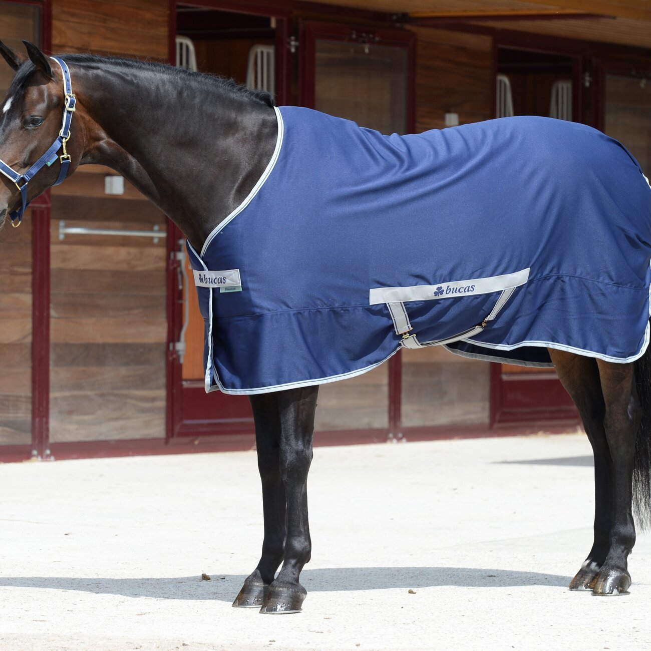 Freedom Twill Pferdedecke Bild 2