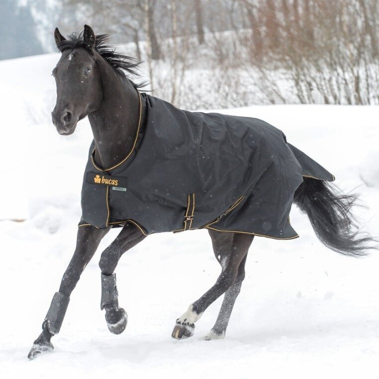 Irish Turnout 150 Winterdecke Bild 4