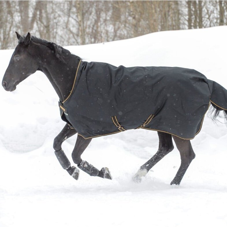 Irish Turnout 150 Winterdecke Bild 16