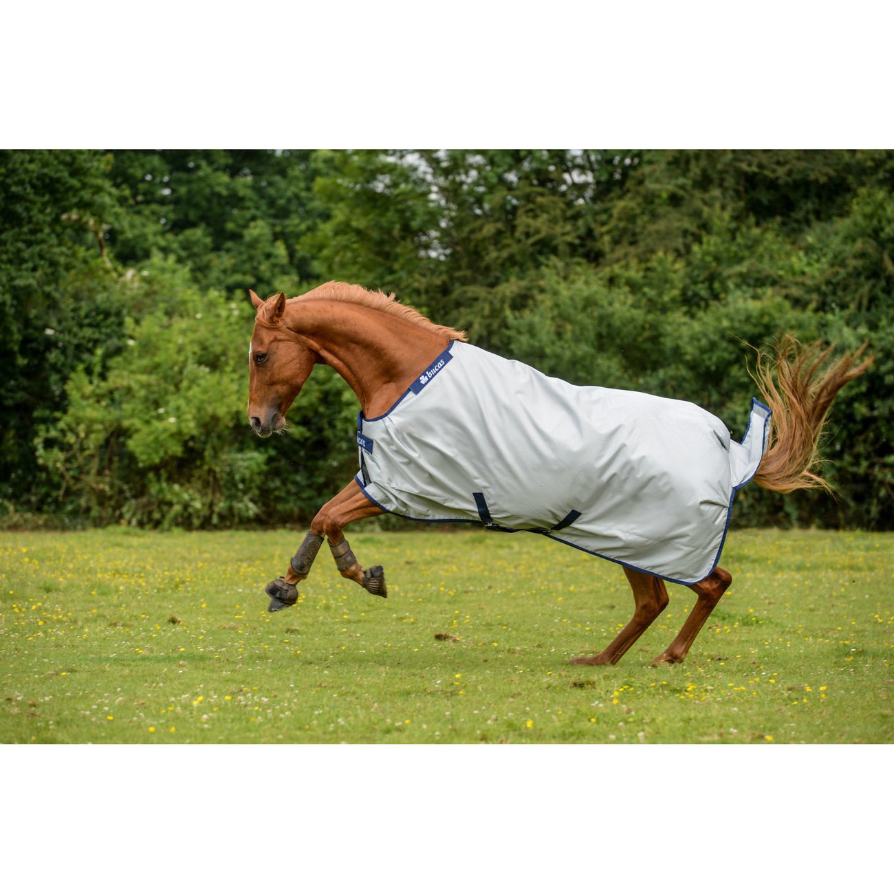 Bucas Regendecke und Abschwitzdecke Power Turnout Bild 4