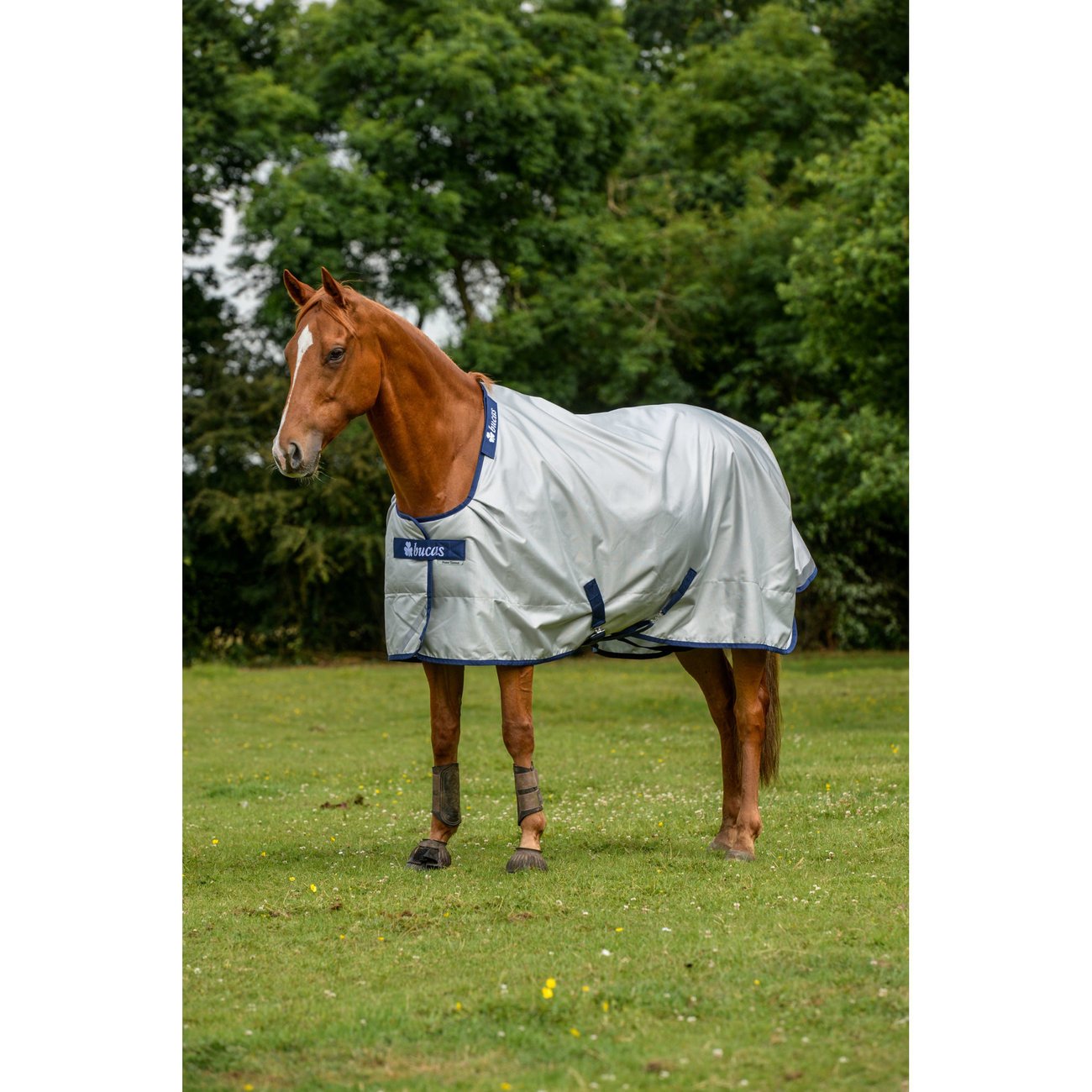 Bucas Regendecke und Abschwitzdecke Power Turnout Bild 2