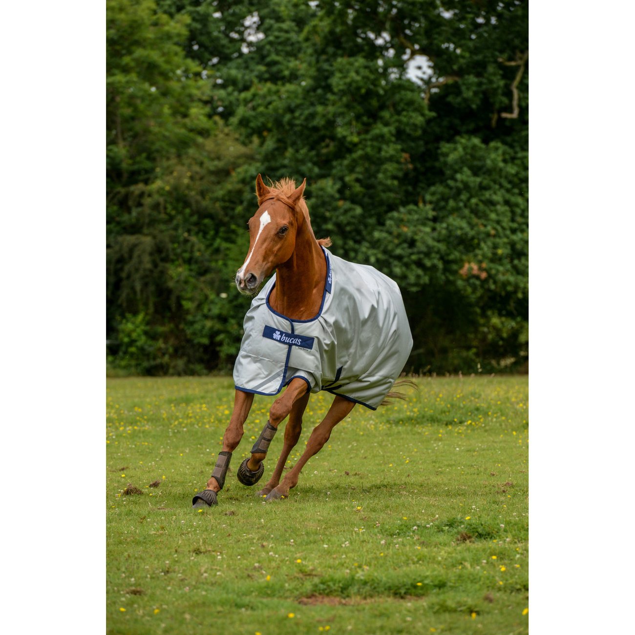 Bucas Regendecke und Abschwitzdecke Power Turnout Bild 7