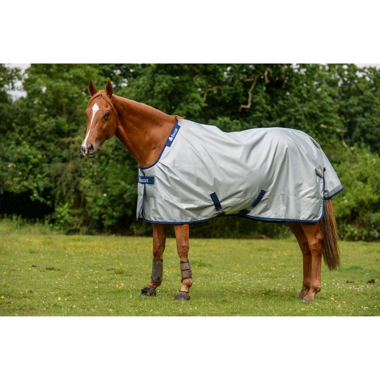 Bucas Regendecke und Abschwitzdecke Power Turnout Bild 9