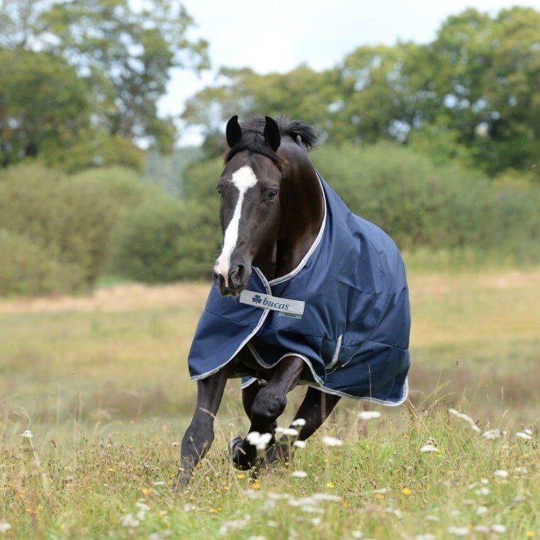 Bucas Regendecke Freedom Turnout Light Bild 3