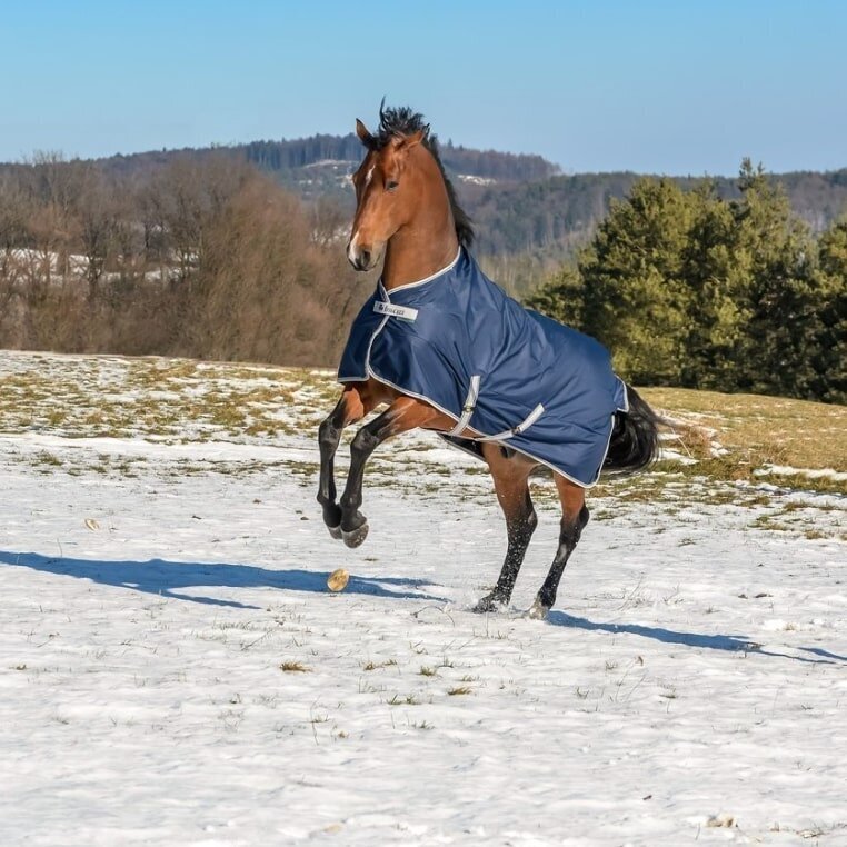 Bucas Regendecke Freedom Turnout Light Bild 2