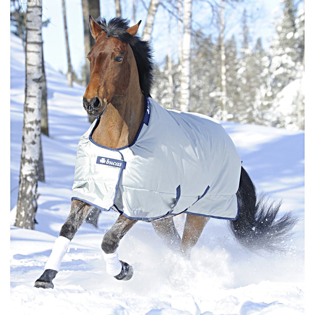 Bucas Winterdecke Power Turnout Extra Bild 2