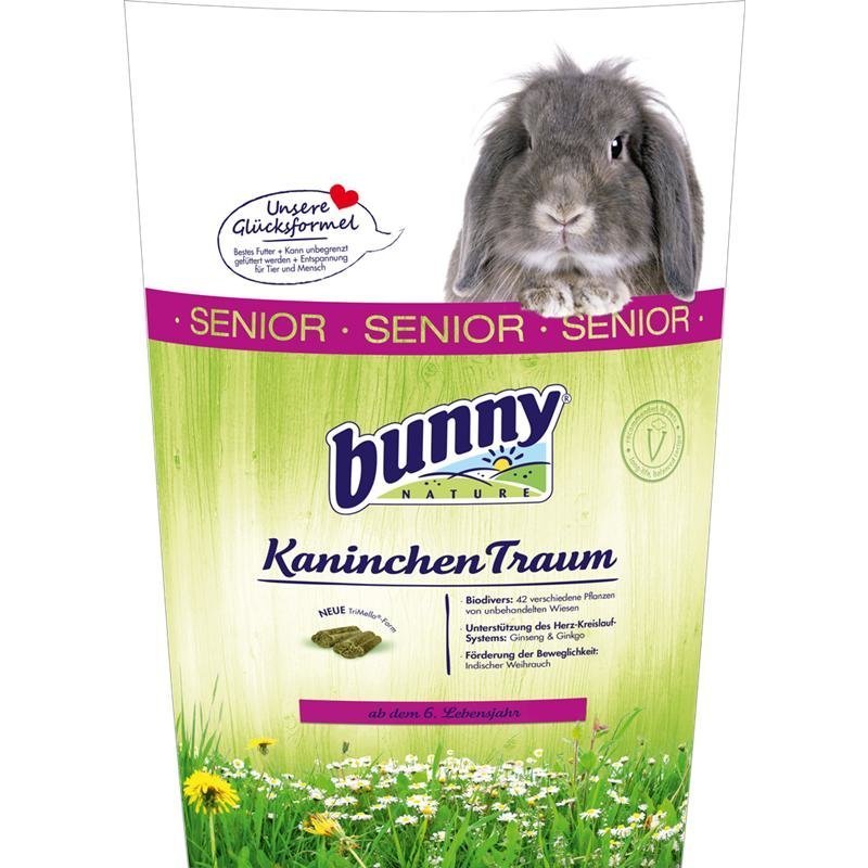 Kaninchen Traum Senior Bild 2