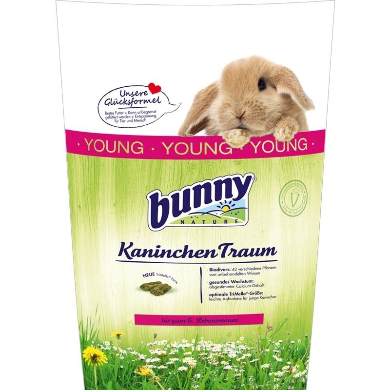 Kaninchen Traum young Bild 1