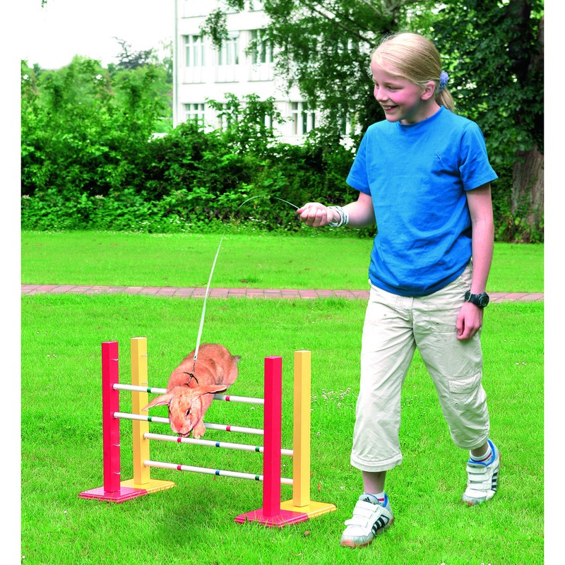 Bunny Sport Kaninchen Hopp 3 Bild 2