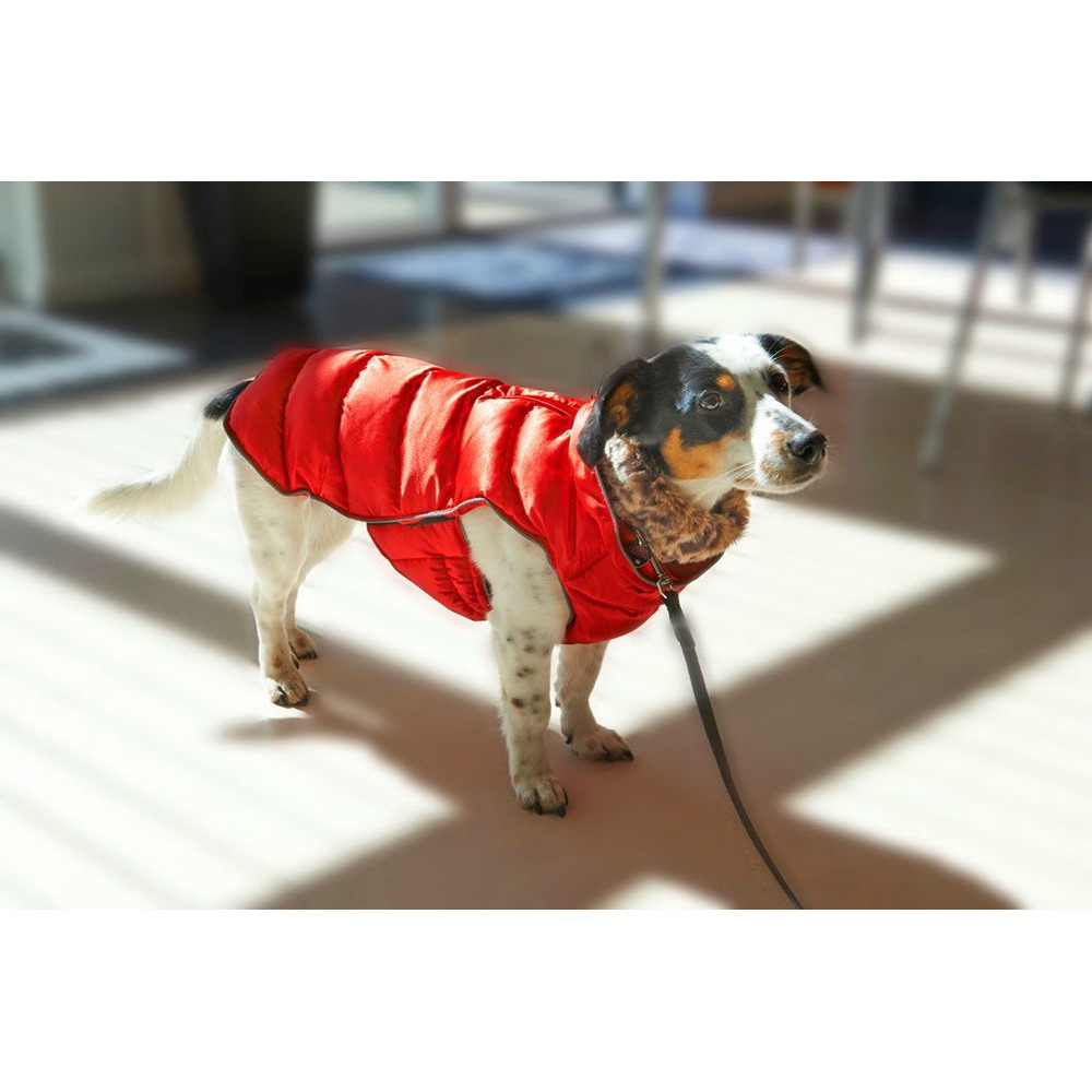 Active Wintermantel Paloma Bild 5