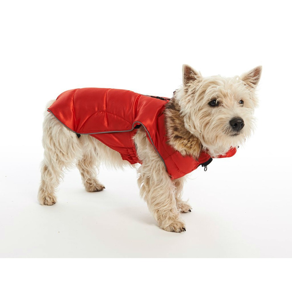 Active Wintermantel Paloma Bild 2